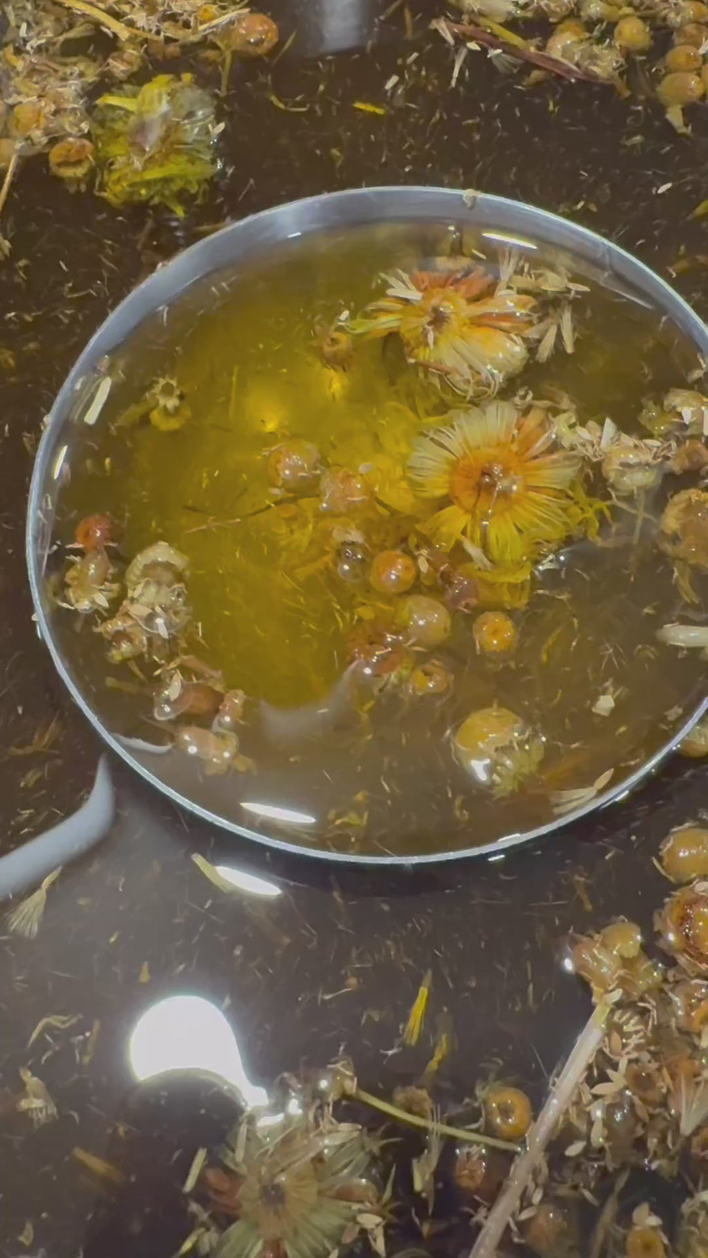 Organic Pain Relief Massage Oil - Natural Muscle & Joint Relief with Arnica